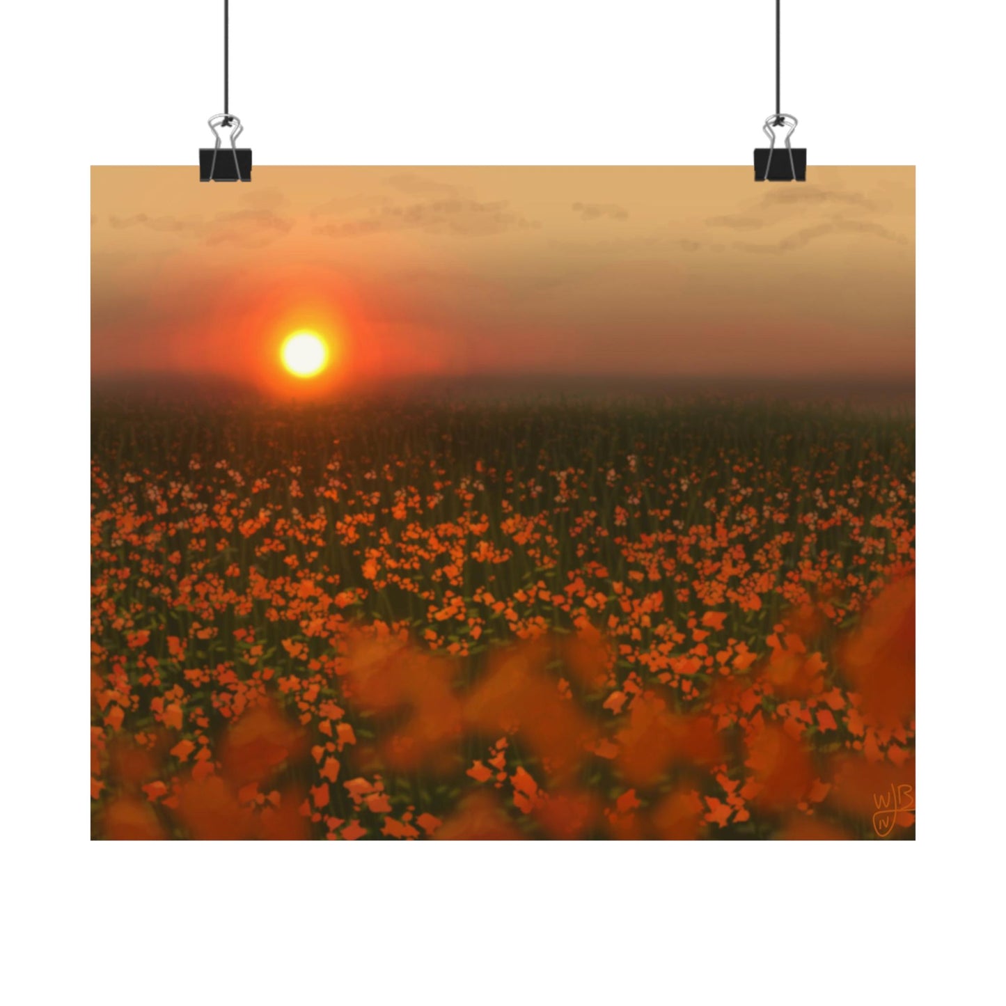 Orange Flower Field